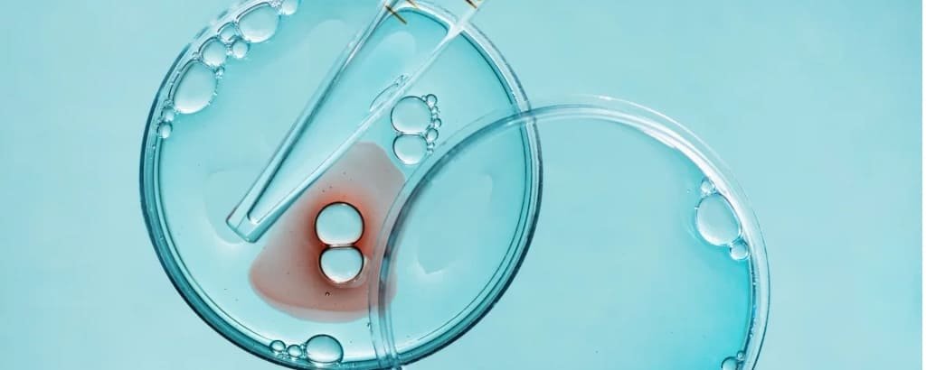 IVF Myths Vs Facts